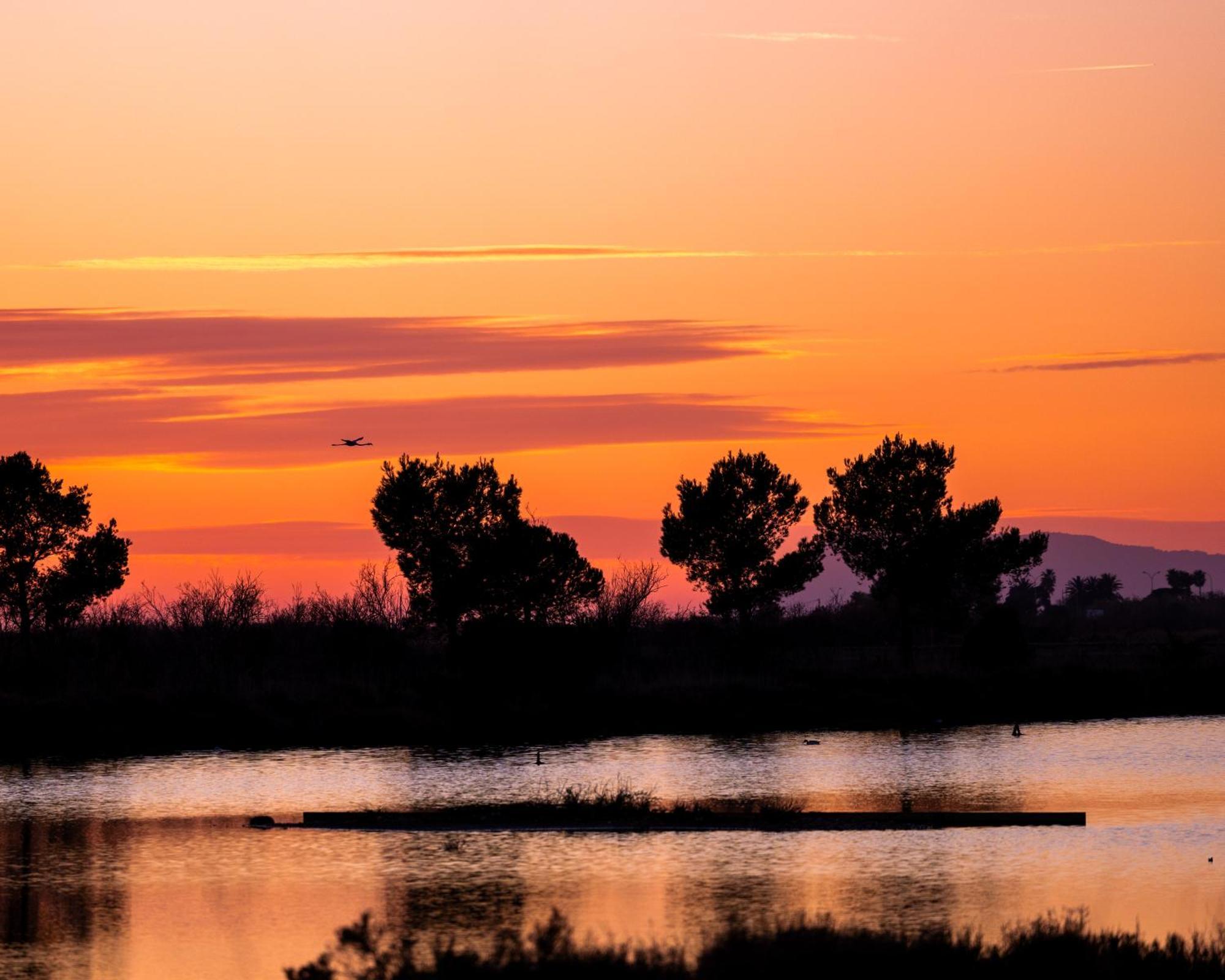 La Provence * Hyères
